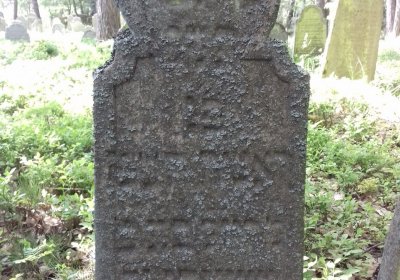 Kmínek Michal, 2018