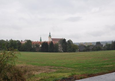Konojedy, Omnium, 2020
