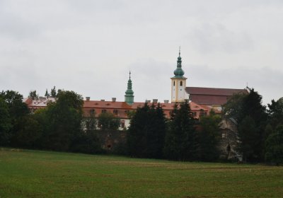 Konojedy, Omnium, 2020