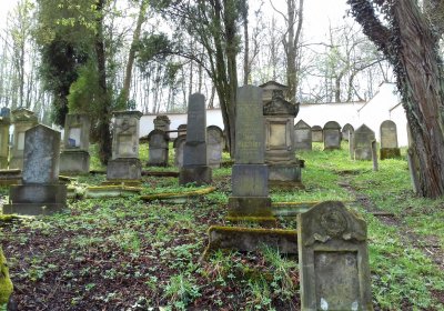 Kmínek Michal, 2018