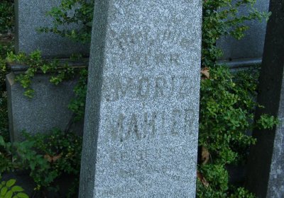 Kmínek Michal, 2019