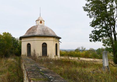 Radouň, Omnium, 2020