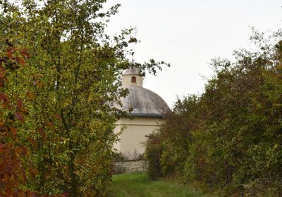 Radouň, Omnium, 2020