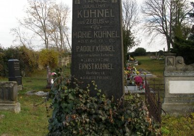 Kmínek Michal, 2019