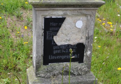 Omnium, Červenec 2020