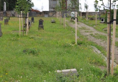 Omnium, Červenec 2020