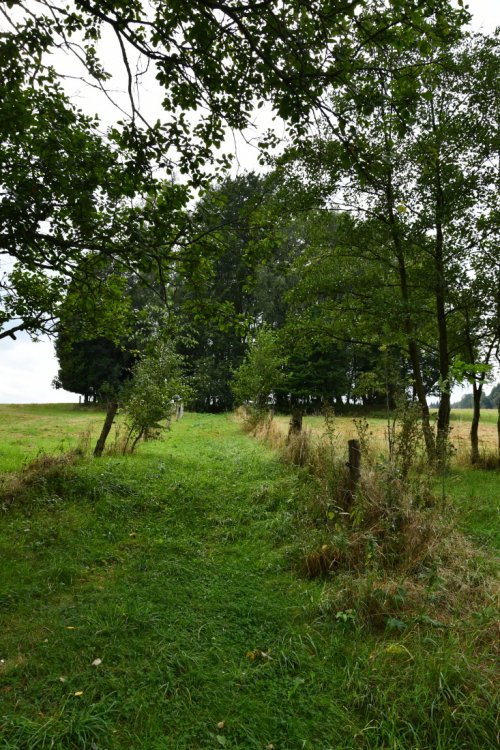 Nová Víska