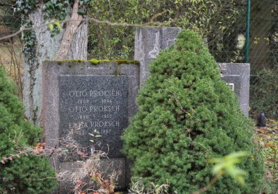 Kytlice, Omnium, 2020