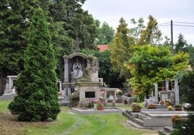 Kostelec nad Ohří, Omnium, 2020