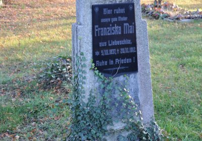 Liběšice u Žatce, Omnium, 2020