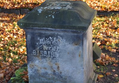 Liběšice u Žatce, Omnium, 2020