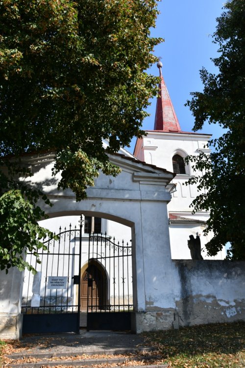 Dubany