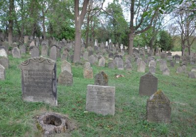 Libochovice židovský hřbitov, Omnium, 2020