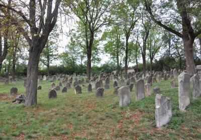 Libochovice židovský hřbitov, Omnium, 2020