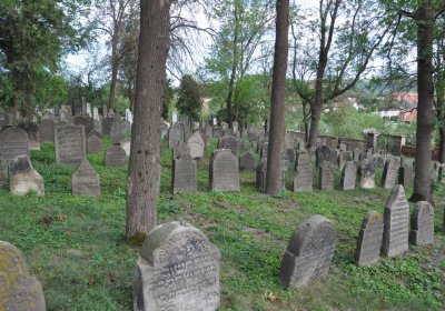 Libochovice židovský hřbitov, Omnium, 2020