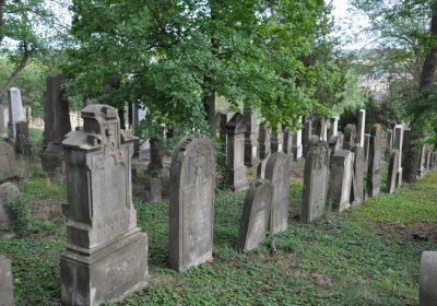 Libochovice židovský hřbitov, Omnium, 2020