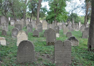 Libochovice židovský hřbitov, Omnium, 2020