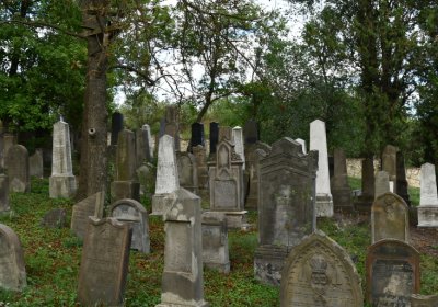 Libochovice židovský hřbitov, Omnium, 2020