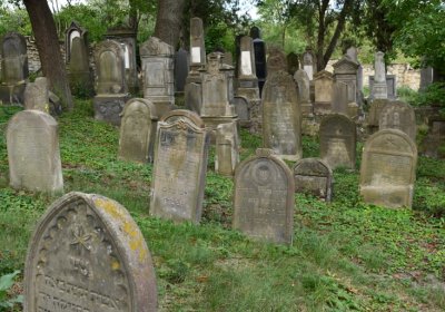 Libochovice židovský hřbitov, Omnium, 2020