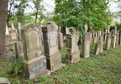 Libochovice židovský hřbitov, Omnium, 2020