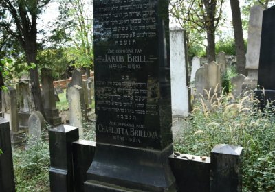 Libochovice židovský hřbitov, Omnium, 2020