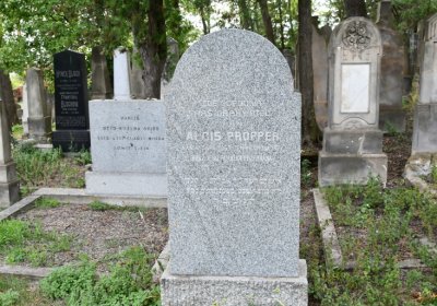 Libochovice židovský hřbitov, Omnium, 2020