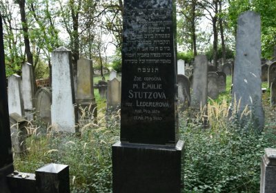 Libochovice židovský hřbitov, Omnium, 2020