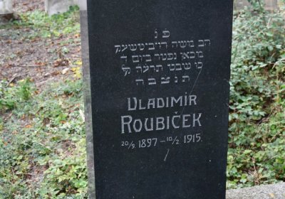 Libochovice židovský hřbitov, Omnium, 2020