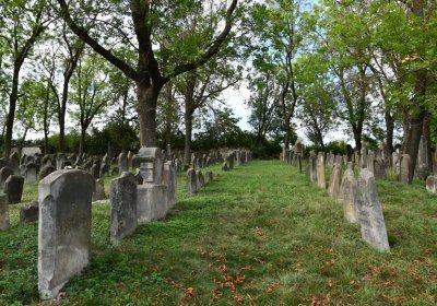 Libochovice židovský hřbitov, Omnium, 2020