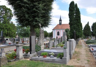 Libochovice, Omnium, 2020