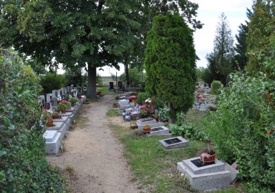 Libochovice, Omnium, 2020
