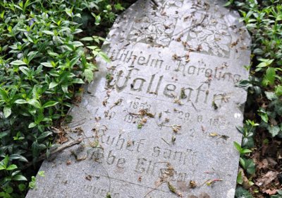 Hřbitov Krásné Loučky, Omnium, 2017