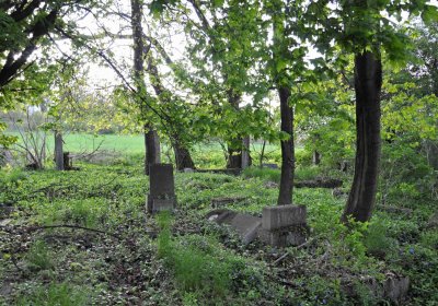 Hřbitov Krásné Loučky, Omnium, 2017
