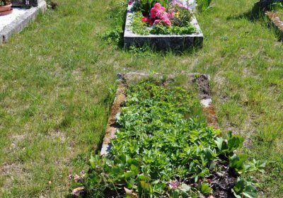 Touchořiny, Omnium, 2020