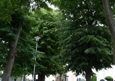 Charvatce, Omnium, 2020