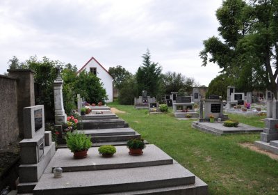 Mšené-lázně, Omnium, 2020