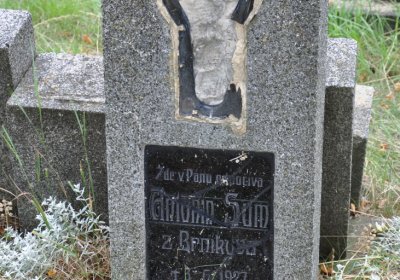 Mšené-lázně, Omnium, 2020