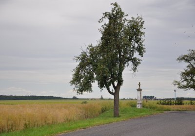 Mšené-lázně, Omnium, 2020