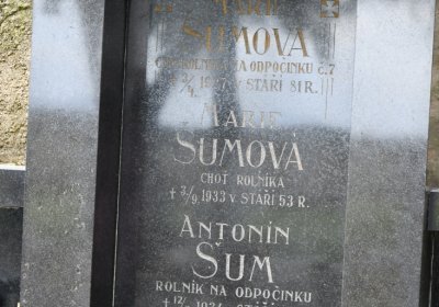 Mšené-lázně, Omnium, 2020