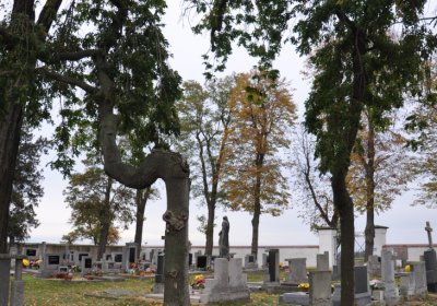 Ječovice obecní, Omnium, 2020