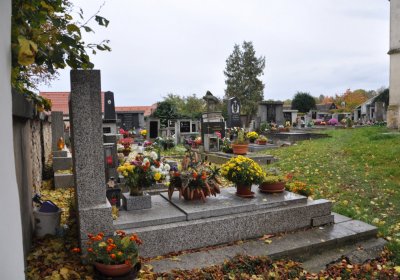 Ředhošť, Omnium, 2020