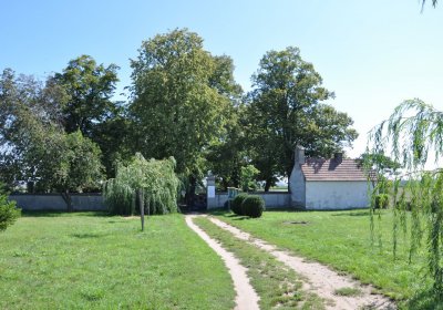 Nové Kopisty, Omnium, 2020