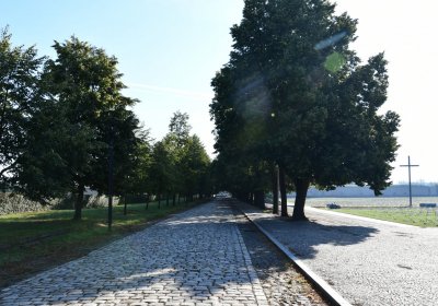 Národní hřbitov Terezín, Omnium, 2020