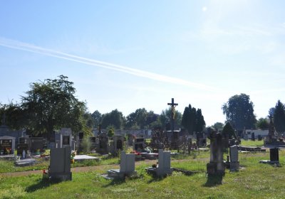 Terezín městský, Omnium, 2020