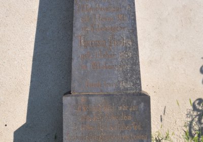 Terezín městský, Omnium, 2020