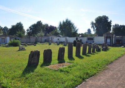 Terezín městský, Omnium, 2020