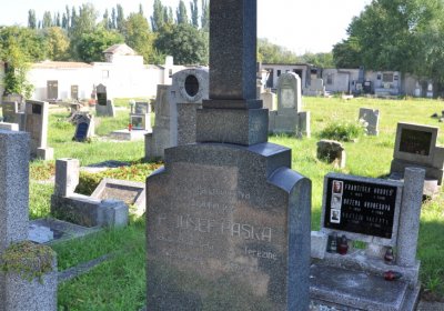 Terezín městský, Omnium, 2020