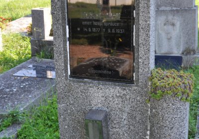 Terezín městský, Omnium, 2020