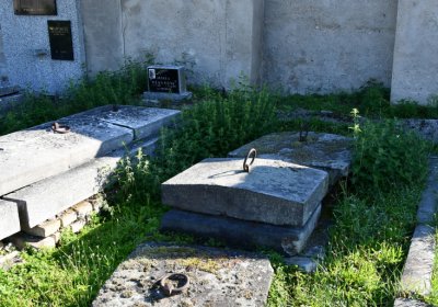 Terezín městský, Omnium, 2020