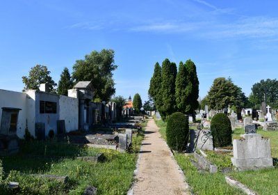 Terezín městský, Omnium, 2020